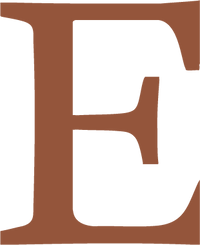 Social icon 5